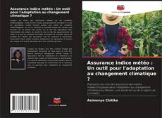 Portada del libro de Assurance indice météo : Un outil pour l'adaptation au changement climatique ?