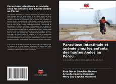 Bookcover of Parasitose intestinale et anémie chez les enfants des hautes Andes au Pérou
