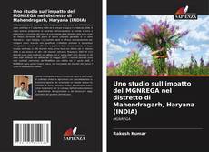 Bookcover of Uno studio sull'impatto del MGNREGA nel distretto di Mahendragarh, Haryana (INDIA)