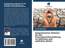 Buchcover von Angemessener Rahmen für die Finanzberichterstattung im östlichen und südlichen Afrika