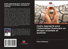 Bookcover of Cadre approprié pour l'information financière en Afrique orientale et australe