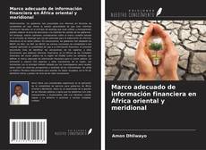 Buchcover von Marco adecuado de información financiera en África oriental y meridional