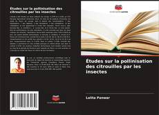 Copertina di Études sur la pollinisation des citrouilles par les insectes