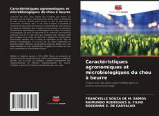 Обложка Caractéristiques agronomiques et microbiologiques du chou à beurre