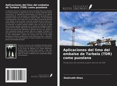 Buchcover von Aplicaciones del limo del embalse de Tarbela (TDR) como puzolana