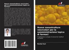 Nuove nanostrutture vescicolari per la somministrazione topica di farmaci kitap kapağı