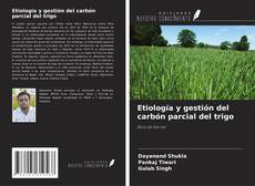 Copertina di Etiología y gestión del carbón parcial del trigo