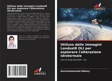 Capa do livro de Utilizzo delle immagini Landsat8 OLI per esplorare l'alterazione idrotermale 