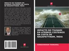 IMPACTO DO TSUNAMI EM ATERROS COSTEIROS NA COSTA DE NAGAPATTINAM, ÍNDIA的封面