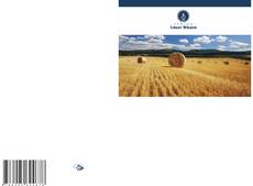 Capa do livro de Studien über Reisstroh und Baggasasche als puzzolanische Materialien 