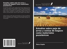Capa do livro de Estudios sobre paja de arroz y ceniza de bagazo como materiales puzolánicos 