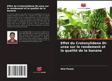 Copertina di Effet du Crotonylidene Di-urea sur le rendement et la qualité de la banane