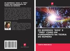 Portada del libro de OS NÚMEROS "DOIS" E "TRÊS" COMO UM FUNDAMENTO NA TEORIA DO NÚMERO