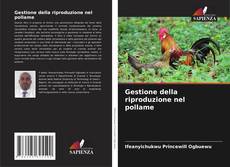 Buchcover von Gestione della riproduzione nel pollame