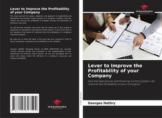 Bookcover of Lever to Improve the Profitability of your Company