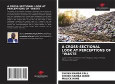 Bookcover of A CROSS-SECTIONAL LOOK AT PERCEPTIONS OF "WASTE