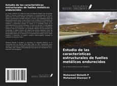 Buchcover von Estudio de las características estructurales de fuelles metálicos endurecidos
