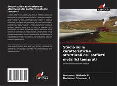 Studio sulle caratteristiche strutturali dei soffietti metallici temprati的封面