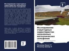 Bookcover of Исследование структурных характеристик закаленных металлических сильфонов