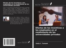 Bookcover of Efectos de los incentivos a los empleados en el rendimiento de las universidades privadas