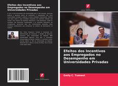 Обложка Efeitos dos Incentivos aos Empregados no Desempenho em Universidades Privadas