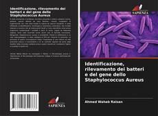 Buchcover von Identificazione, rilevamento dei batteri e del gene dello Staphylococcus Aureus