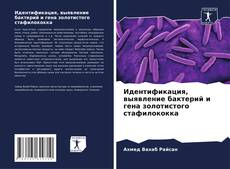 Capa do livro de Идентификация, выявление бактерий и гена золотистого стафилококка 