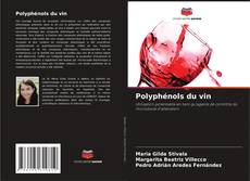 Polyphénols du vin的封面