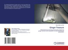 Обложка Ginger Treasure