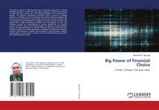 Big Power of Financial Choice的封面