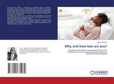 Copertina di Why and how late are you?