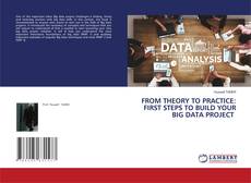 Copertina di FROM THEORY TO PRACTICE: FIRST STEPS TO BUILD YOUR BIG DATA PROJECT