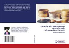 Capa do livro de Financial Risk Management Instruments in Infrastructure Projects 