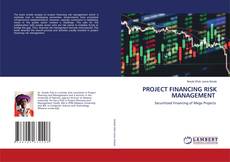 Buchcover von PROJECT FINANCING RISK MANAGEMENT