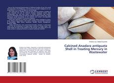 Buchcover von Calcined Anadara antiquata Shell in Treating Mercury in Wastewater