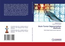 Capa do livro de Brain Tumor Segmentation Methods 