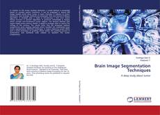 Portada del libro de Brain Image Segmentation Techniques