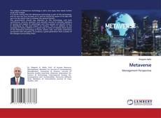 Metaverse的封面