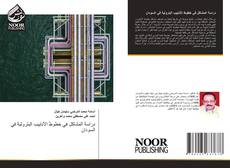Bookcover of دراسة المشاكل في خطوط الأنابيب البترولية في السودان