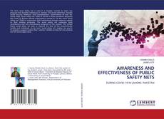 Copertina di AWARENESS AND EFFECTIVENESS OF PUBLIC SAFETY NETS