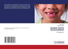 HUMAN TOOTH DEVELOPMENT的封面