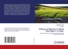 Portada del libro de Efficacy of Biochar in Maize (Zea Mays L.) Crops