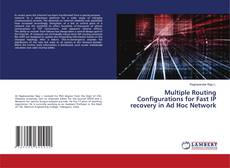 Multiple Routing Configurations for Fast IP recovery in Ad Hoc Network的封面