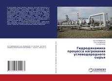 Buchcover von Гидродинамика процесса нагревания углеводородного сырья