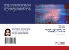 Buchcover von Water Engineering in Numerical Method