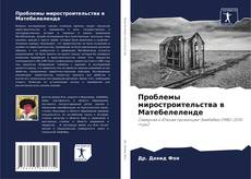 Buchcover von Проблемы миростроительства в Матебелеленде