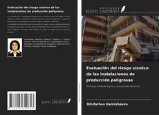 Bookcover of Evaluación del riesgo sísmico de las instalaciones de producción peligrosas
