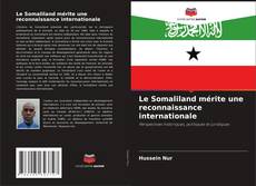 Le Somaliland mérite une reconnaissance internationale kitap kapağı