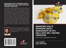 Bookcover of INDAGINE SULLE OPINIONI DEGLI INSEGNANTI DI EFL SULL'USO DEL TEATRO CREATIVO