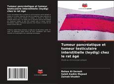 Buchcover von Tumeur pancréatique et tumeur testiculaire interstitielle (leydig) chez le rat âgé